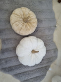 کدو تدی دکوری تزئینی